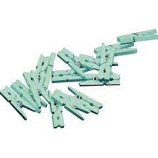 MINI KNIJPERS MINT, 20 STUKS ()